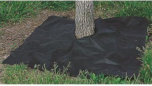 tree-mat