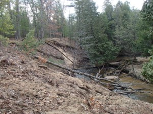 Carrieville Erosion Site #10 before (2)