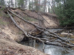 Carrieville Erosion Site #10 before