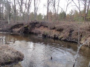 Carrieville Erosion Site #13 before (2)