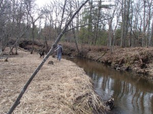 Carrieville Erosion Site #13 before