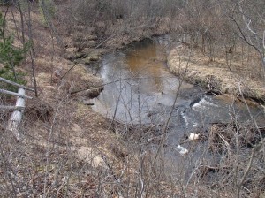 Carrieville Erosion Site #16 before