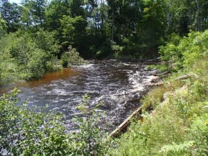 Site #57 during July 2019 high water