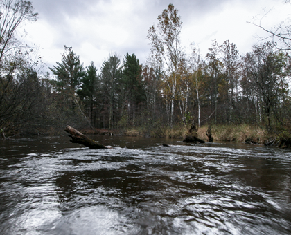 Little Manistee River