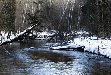 Little Manistee Watershed Photo