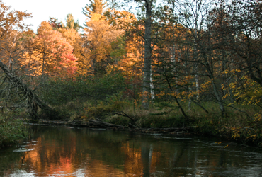 Little Manistee Watershed Photo