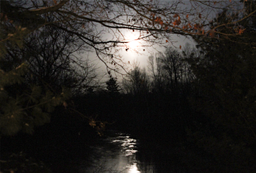 Little Manistee Watershed Photo